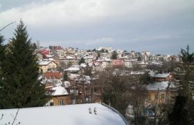 Княжево от Боровата гора