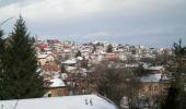 Княжево от Боровата гора