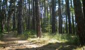 НОЩ НА ФОТОГРАФИЯТА В КНЯЖЕВСКАТА ГОРА