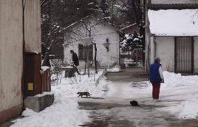 Дом в Княжево